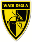 Wadi Degla SC